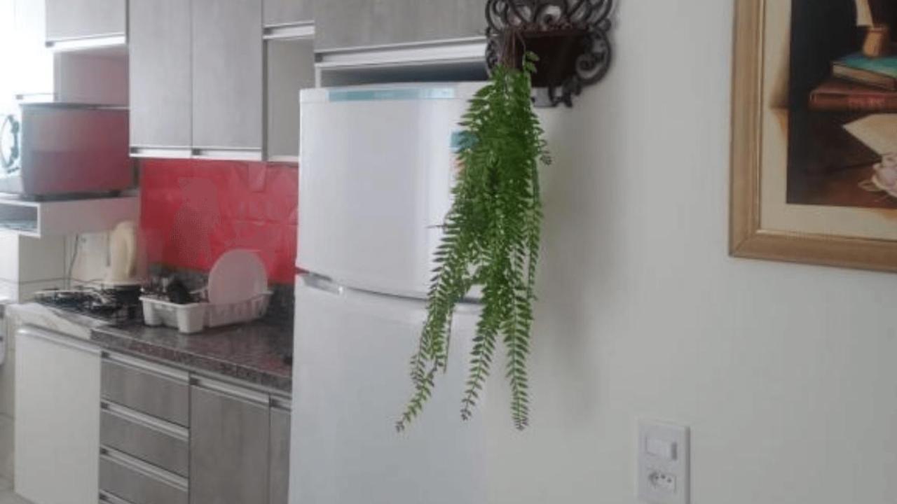 Appartement Liara Balneário Piçarras Beto Carrero Extérieur photo